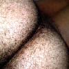 furry male butt